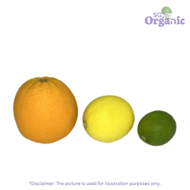 Organic Citrus – Rainbow (1 colour each) Australia