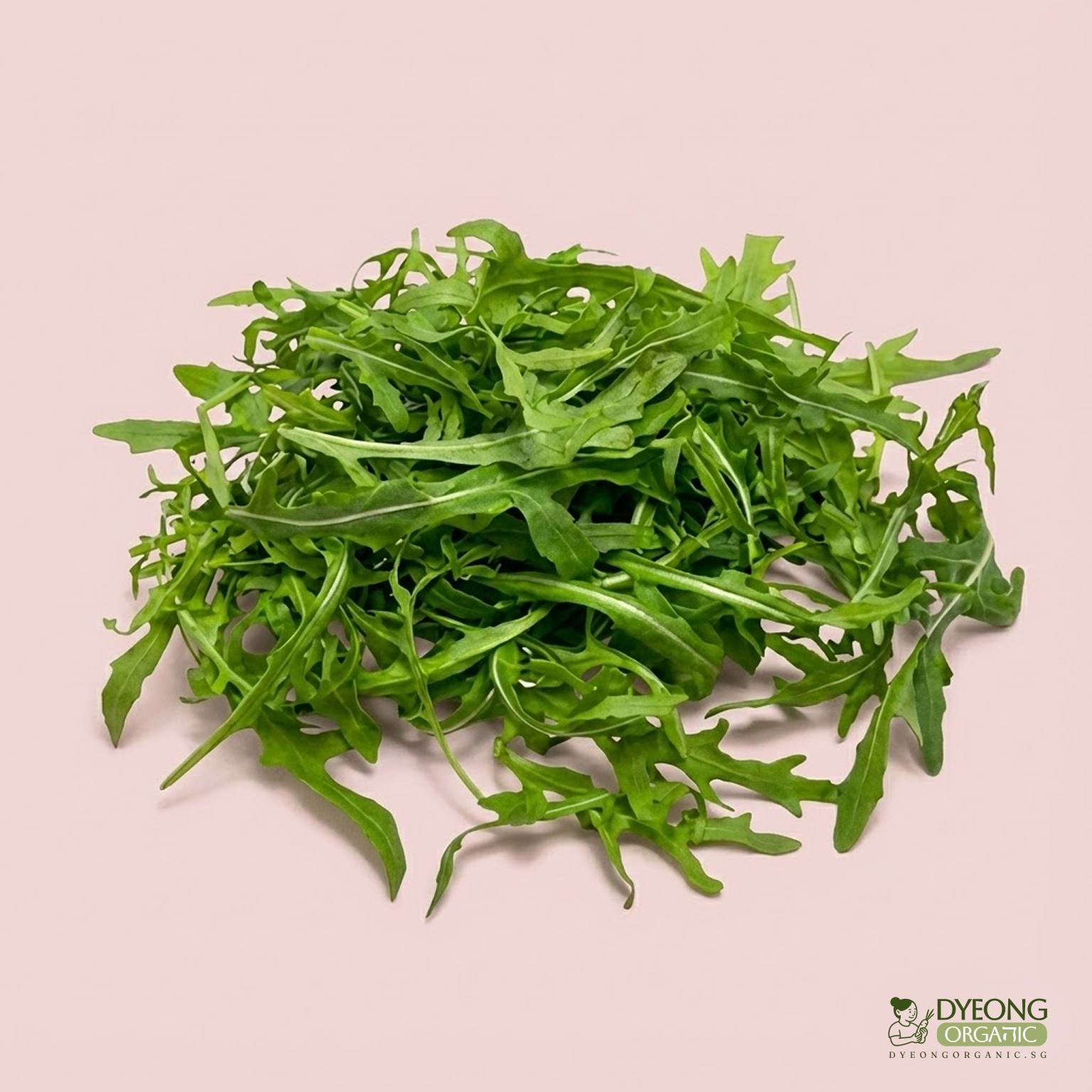 Organic Salad Rocket 100g