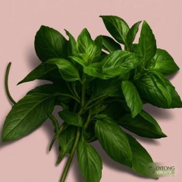 Organic Herbs – Basil (25g) Australia