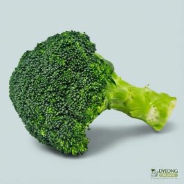 Organic Broccoli (each) Australia