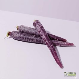 Organic Carrots – Purple (250g) Australia