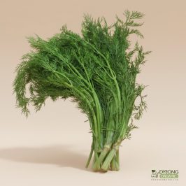 Organic Herbs – Dill (25g) Australia