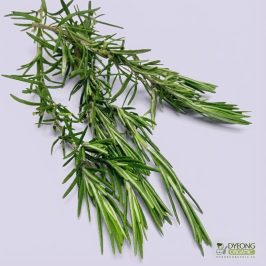 Organic Herbs – Rosemary (25g) Australia