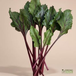Organic Beetroot - Leaves (100g) Australia
