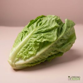 Organic Lettuce – Romaine (500g) Australia