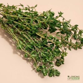 Organic Herbs – Thyme (25g) Australia
