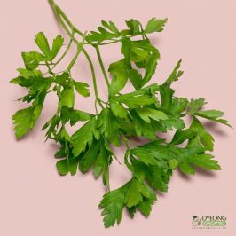 Organic Herbs – Parsley, Flat (25g) Australia