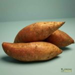 Organic Sweet Potato - Gold (500g) Australia