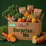 Yindii - Surprise Me! Box
